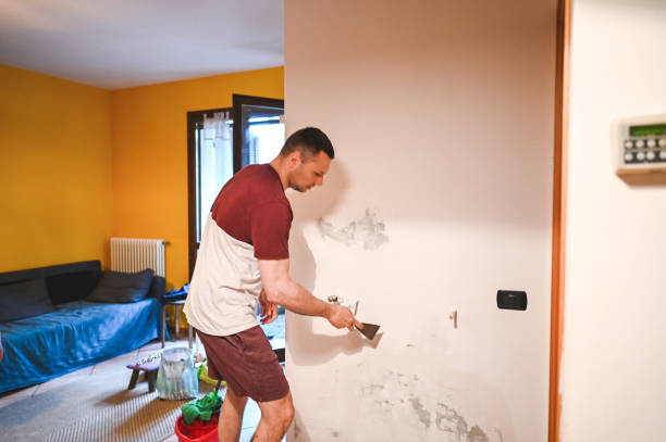 Best Local Mold Removal Service  in Waldo, AR